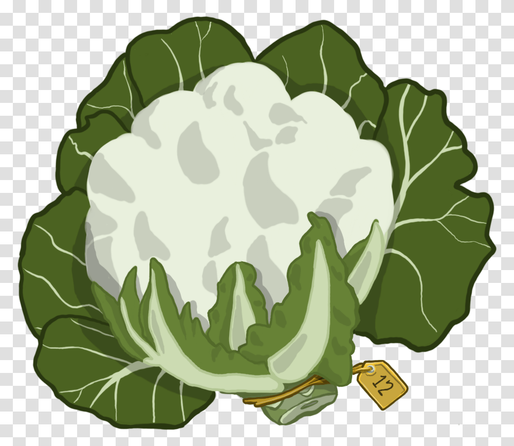 Clipart Cauliflower, Plant, Vegetable, Food, Cabbage Transparent Png