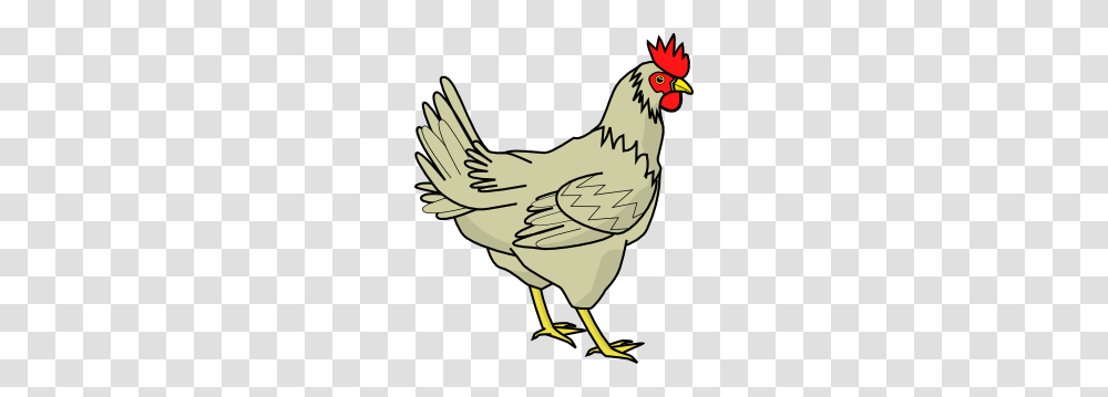 Clipart Chicken, Poultry, Fowl, Bird, Animal Transparent Png