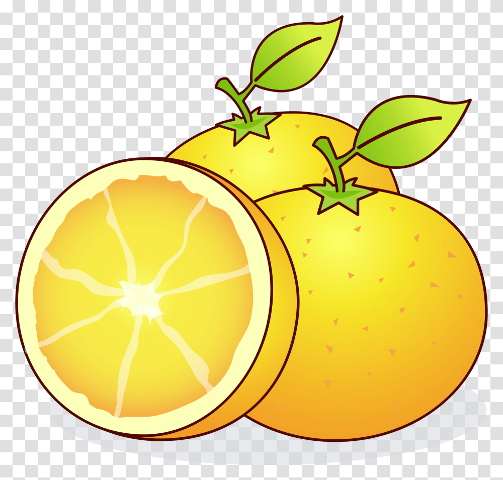 Clipart, Citrus Fruit, Plant, Food, Grapefruit Transparent Png