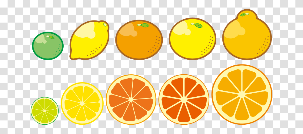 Clipart Citrus Fruits Download Citrus Trees Clip Art, Plant, Food, Produce Transparent Png