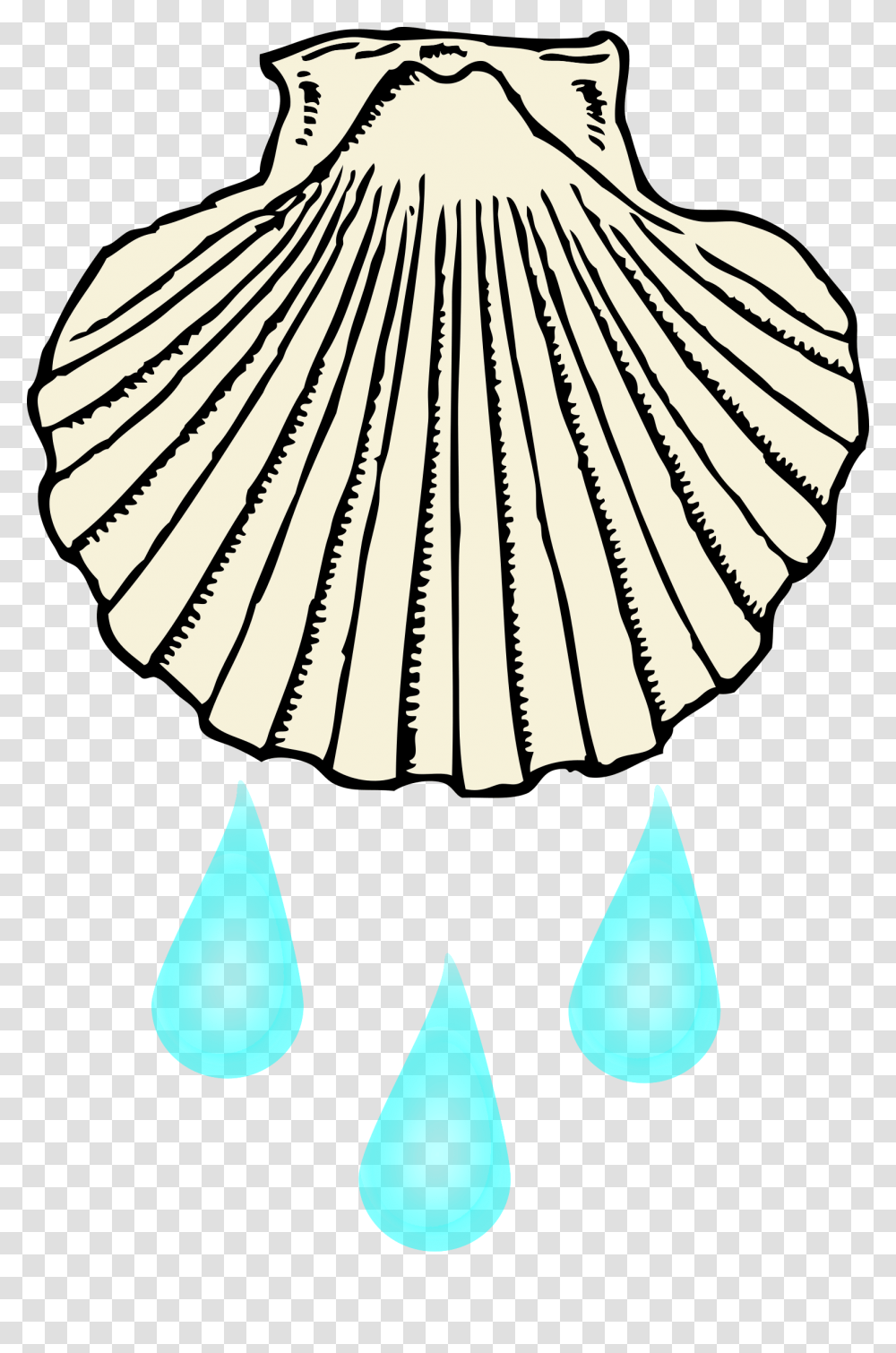 Clipart, Clam, Seashell, Invertebrate, Sea Life Transparent Png