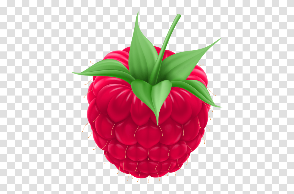 Clipart Clip Art Art Images, Raspberry, Fruit, Plant, Food Transparent Png