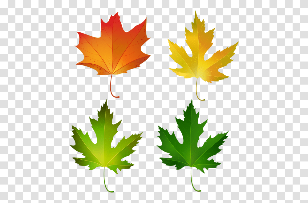 Clipart Clip Art Clipart, Leaf, Plant, Tree, Maple Transparent Png