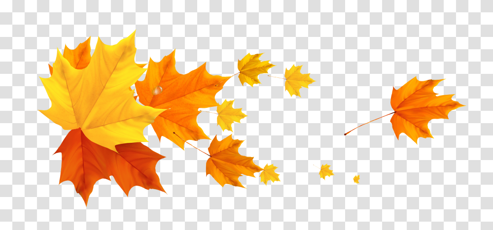 Clipart Clip Art Fall And Leaves, Leaf, Plant, Tree, Maple Leaf Transparent Png