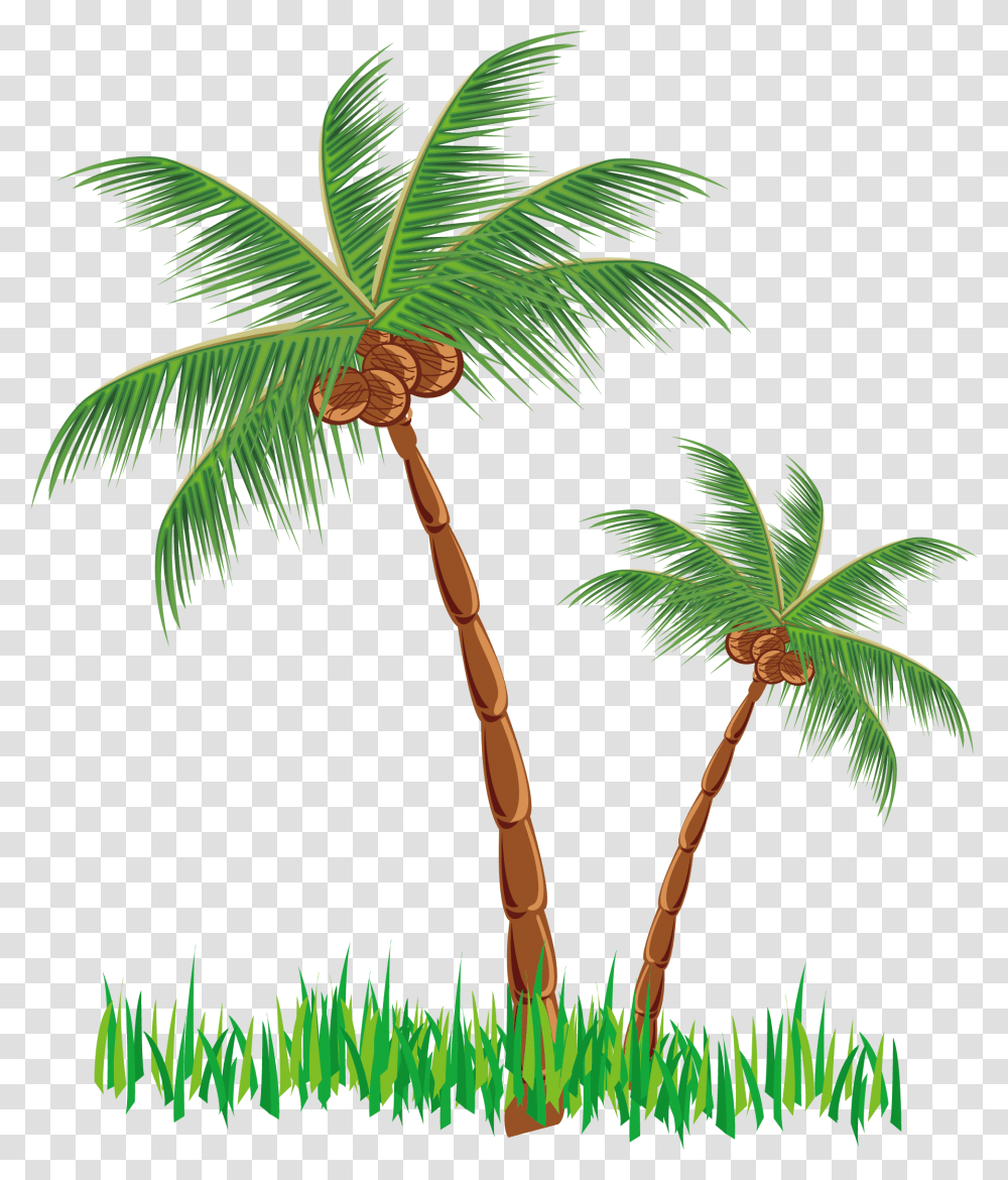Clipart Coconut Tree Vector Clip Art Coconut Tree, Plant, Palm Tree, Arecaceae, Leaf Transparent Png