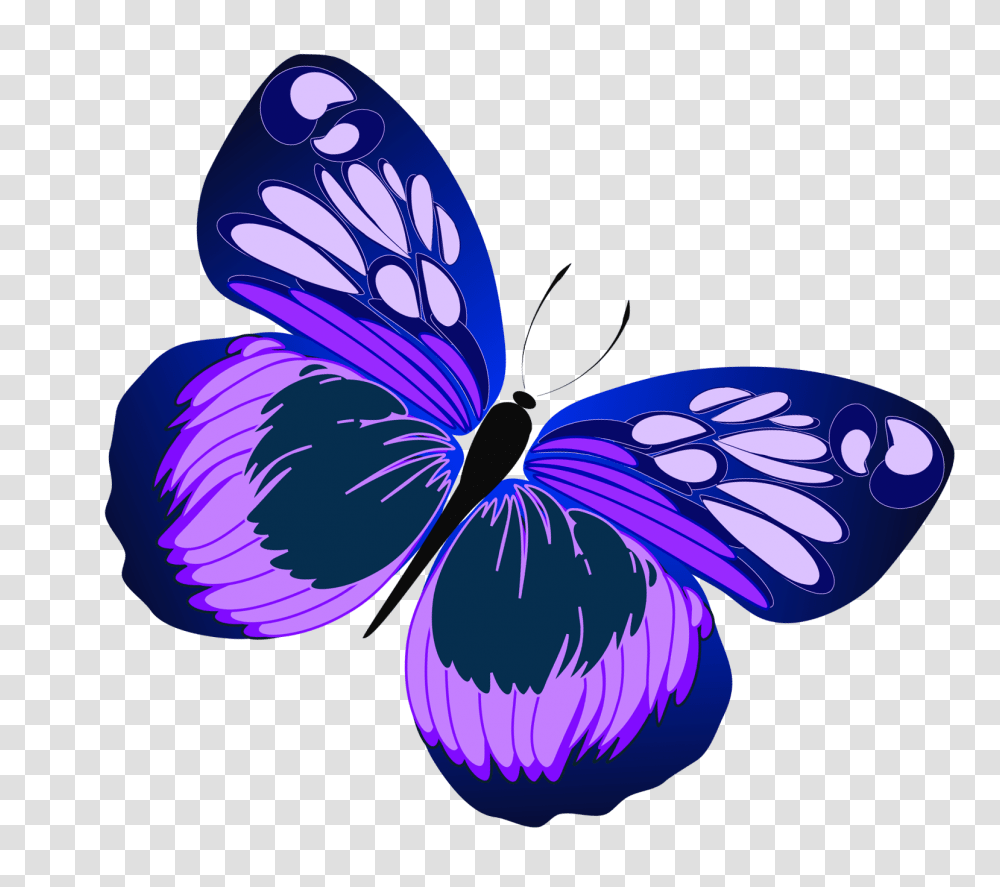 Clipart Colored Butterfly, Plant, Flower, Blossom Transparent Png