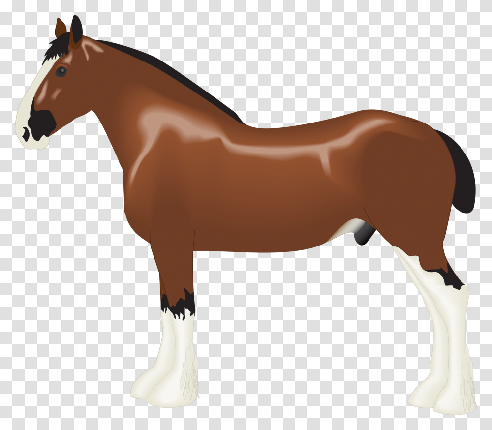 Clipart, Colt Horse, Mammal, Animal, Foal Transparent Png