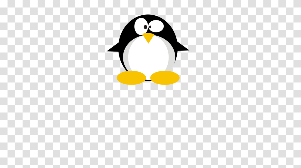 Clipart Confused Student, Lamp, Bird, Animal, Penguin Transparent Png