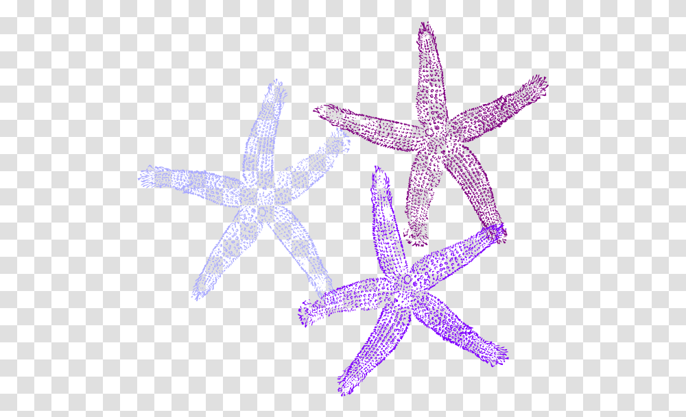 Clipart Corals Background Purple Starfish Clipart, Sea Life, Animal, Star Symbol, Invertebrate Transparent Png