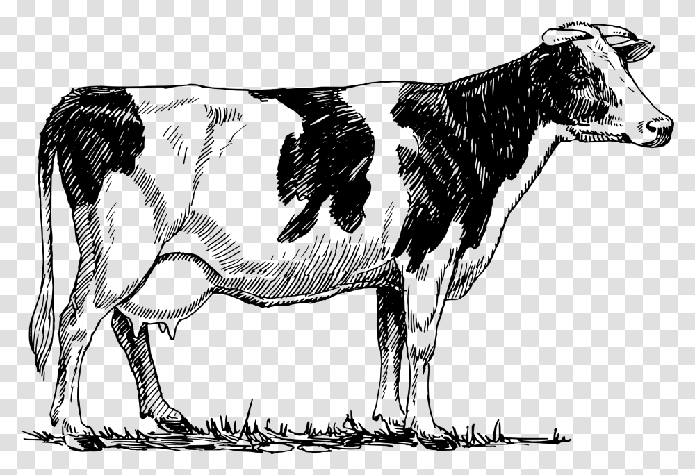 Clipart Cow Vintage, Gray, World Of Warcraft Transparent Png