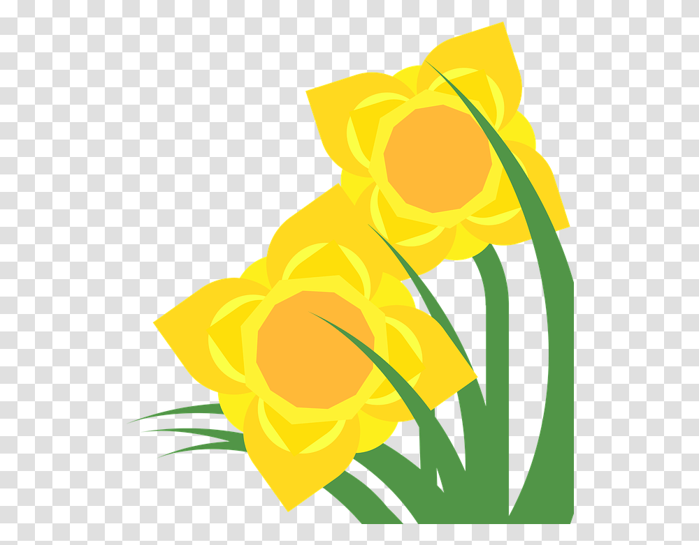 Clipart Daffodil Narcissus Spring Flower Plant Daffodil Clipart, Blossom, Rose, Petal, Tulip Transparent Png