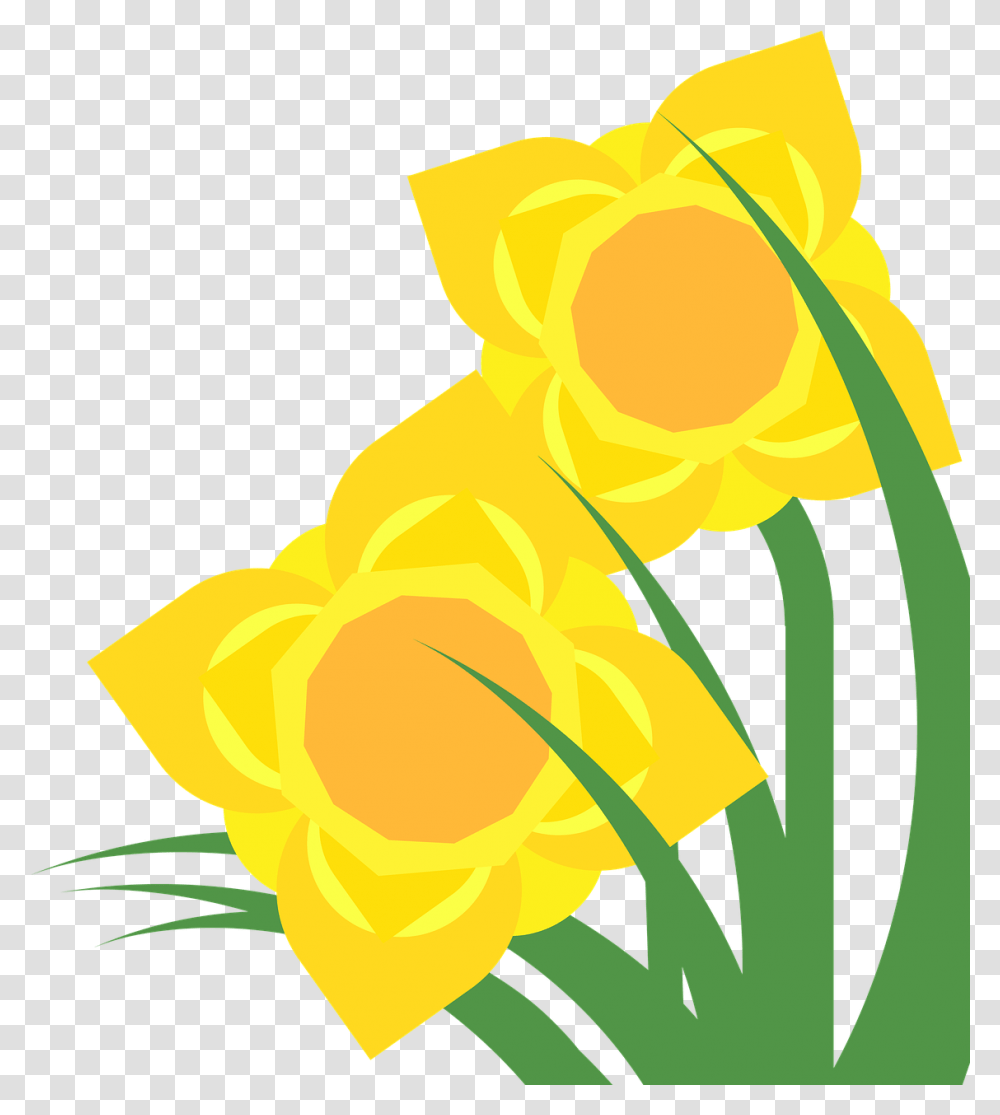 Clipart Daffodil Narcissus Spring Flower Plant Flower Flower Spring Clipart Green Yellow, Blossom, Rose, Tulip, Petal Transparent Png