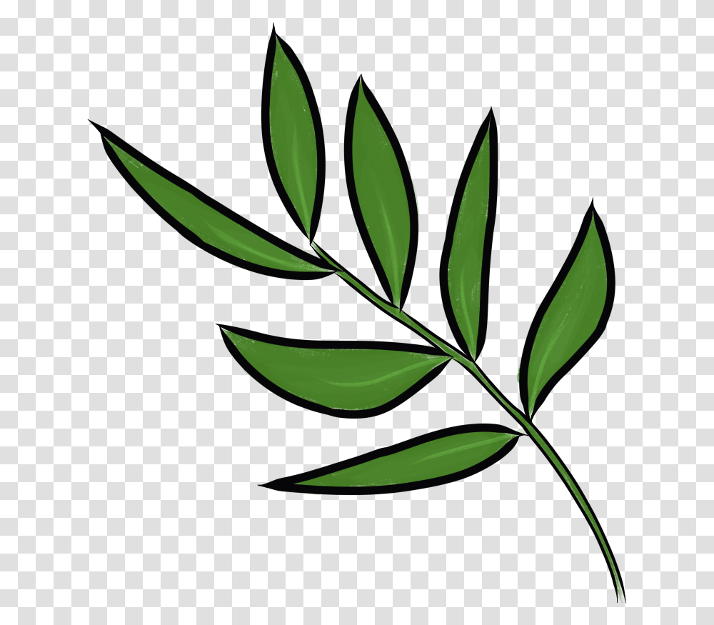 Clipart Daun, Leaf, Plant, Green Transparent Png