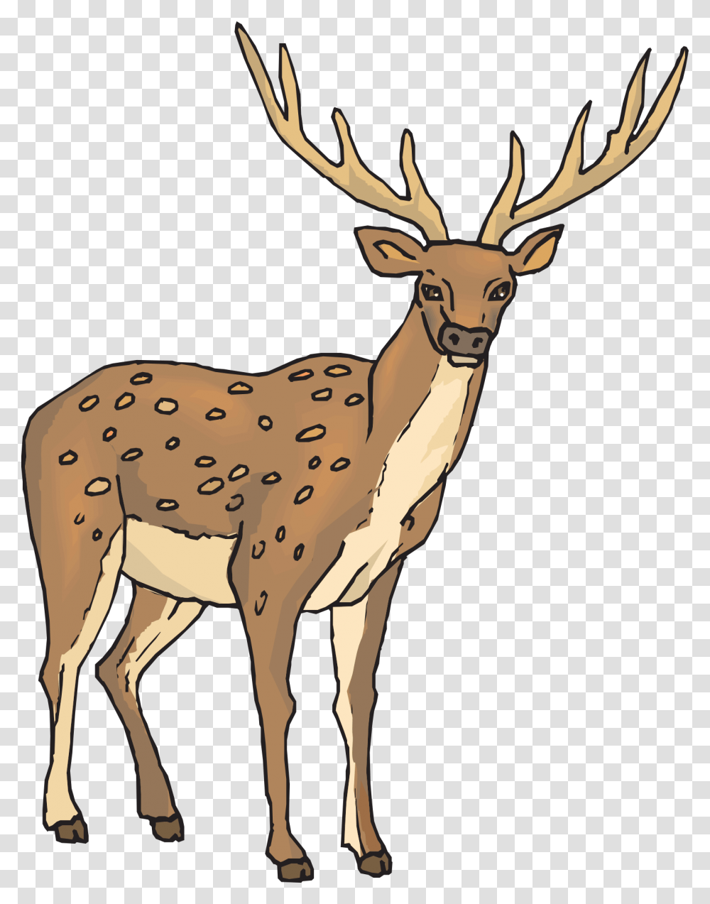 Clipart Deer, Wildlife, Animal, Antelope, Mammal Transparent Png