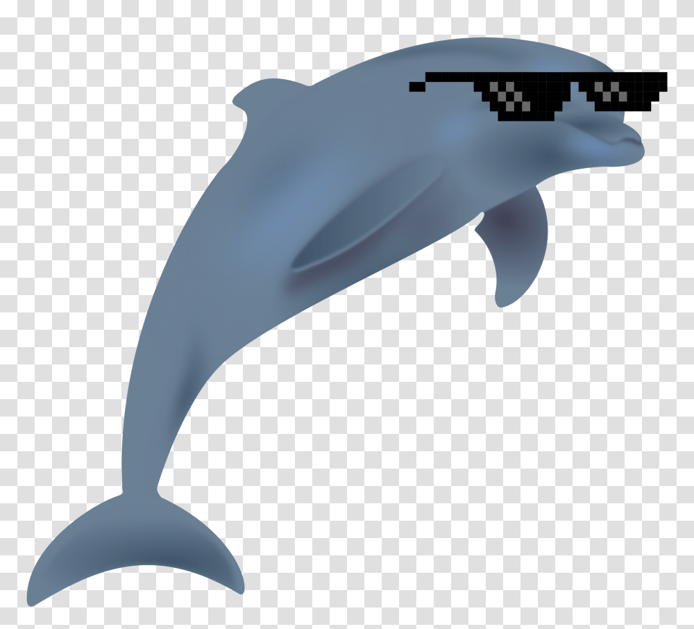 Clipart, Dolphin, Mammal, Sea Life, Animal Transparent Png