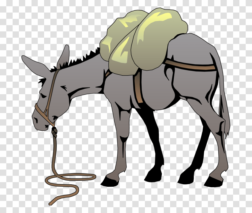 Clipart Donkey Look, Mammal, Animal Transparent Png