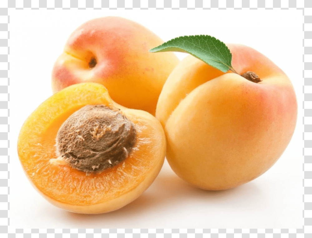 Clipart Download Peaches Clipart Peach Pit Apricot On White Background, Plant, Produce, Food, Fruit Transparent Png
