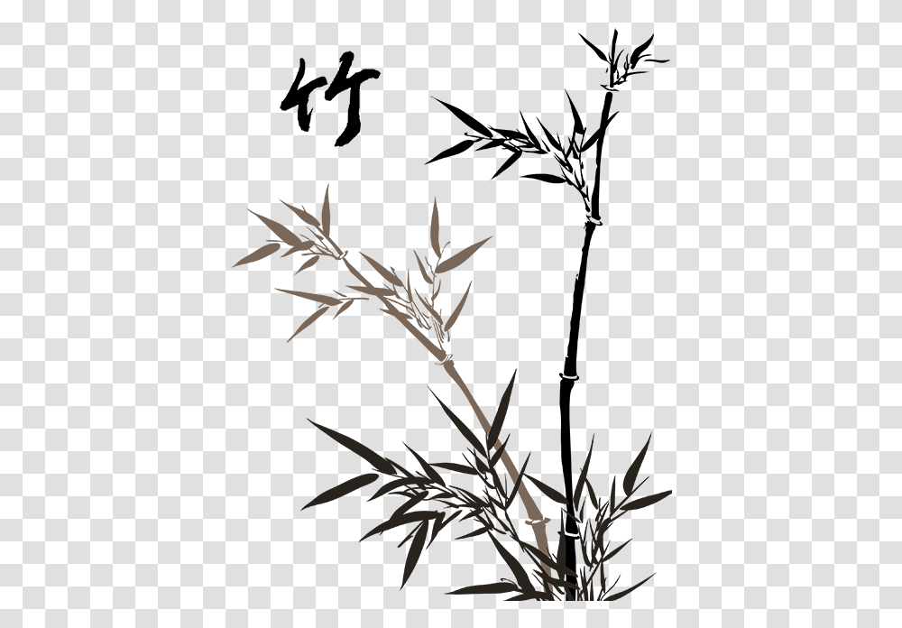 Clipart Download Sugarcane Drawing Pencil Bamboo Drawing, Plant, Acanthaceae, Flower, Nature Transparent Png