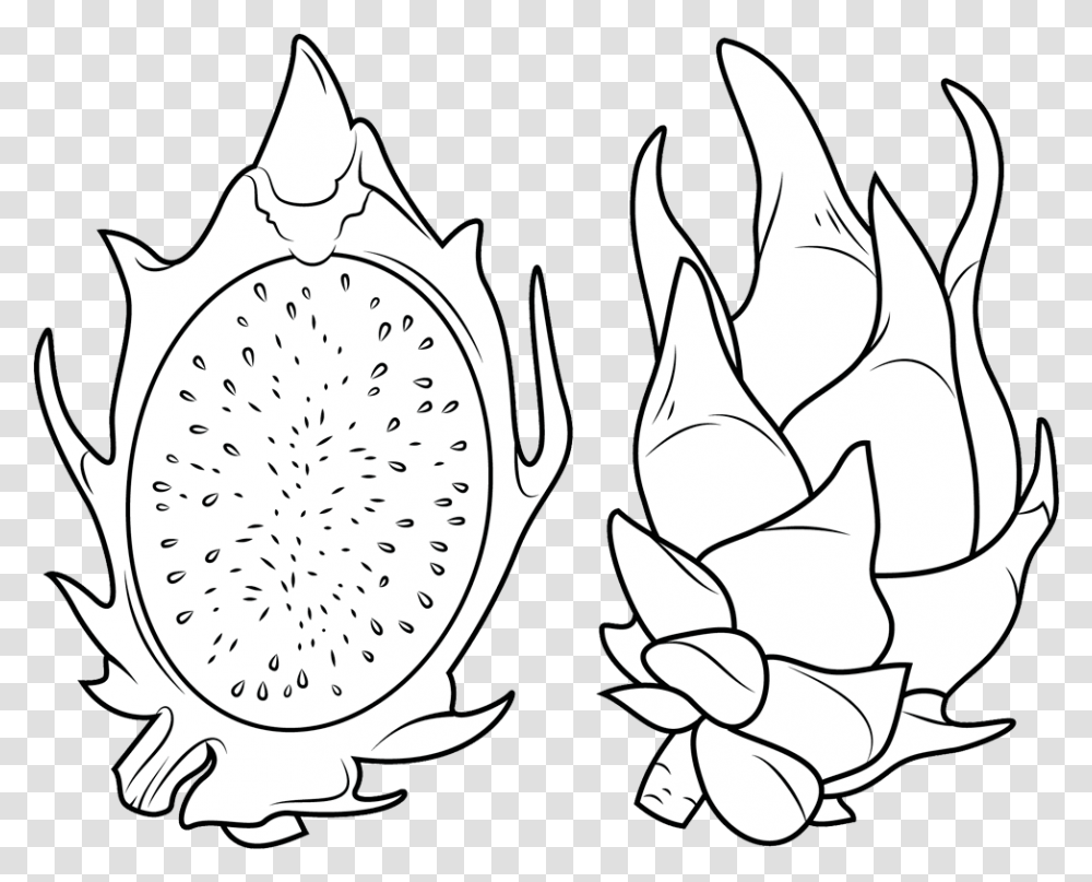Clipart Dragon Fruit Coloring Pages Dragon Fruit Drawing, Stencil, Plant, Seed, Grain Transparent Png