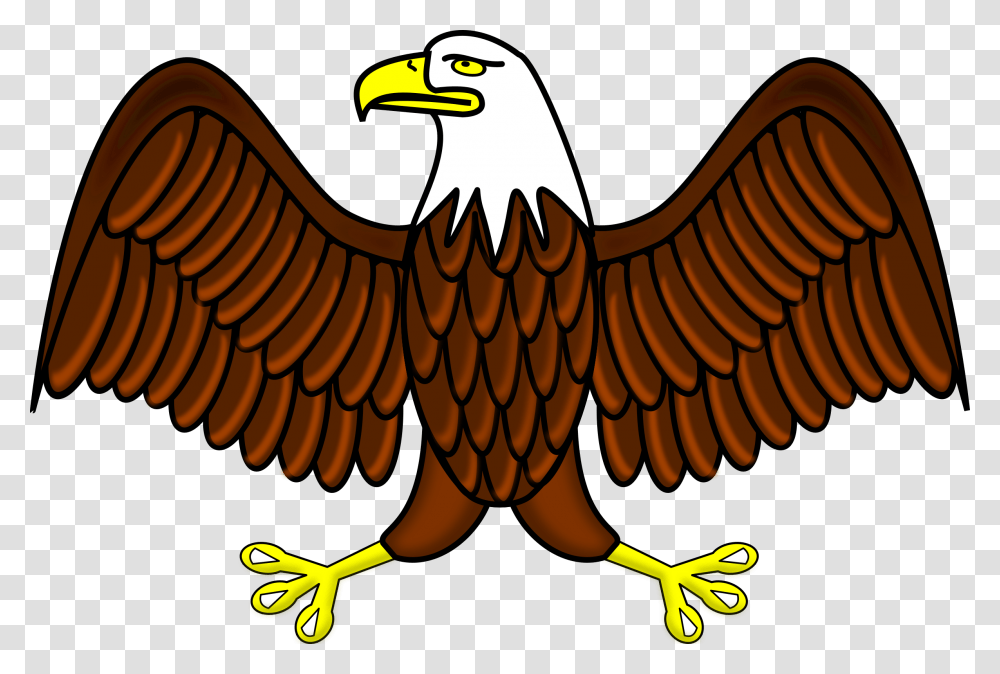 Clipart, Eagle, Bird, Animal, Bald Eagle Transparent Png