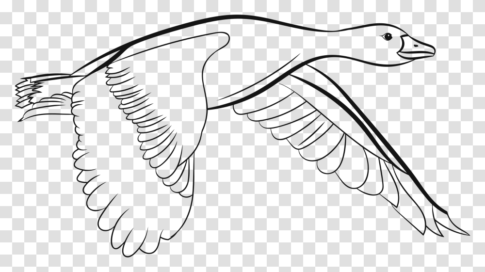 Clipart, Eagle, Bird, Animal, Flying Transparent Png