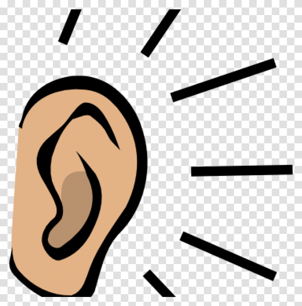 Clipart Ear Ear Clip Art Transparent Png