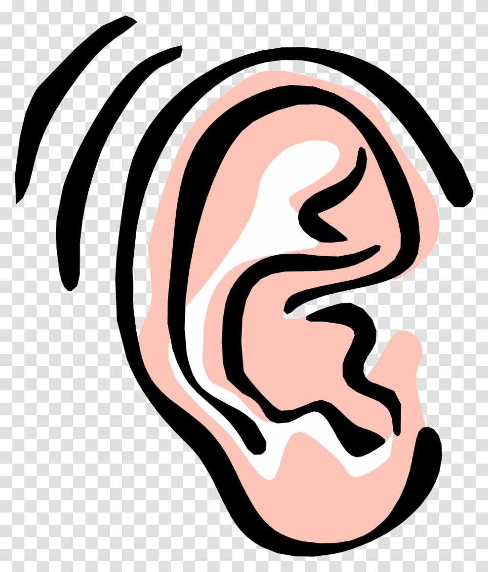 Clipart Ear Ear Clipart Transparent Png