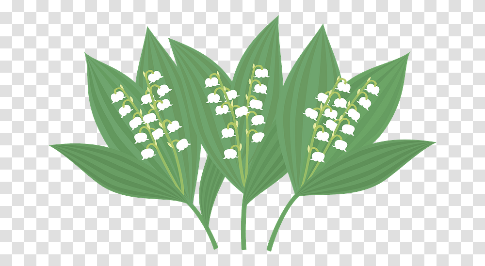 Clipart Ensete, Leaf, Plant, Green, Produce Transparent Png