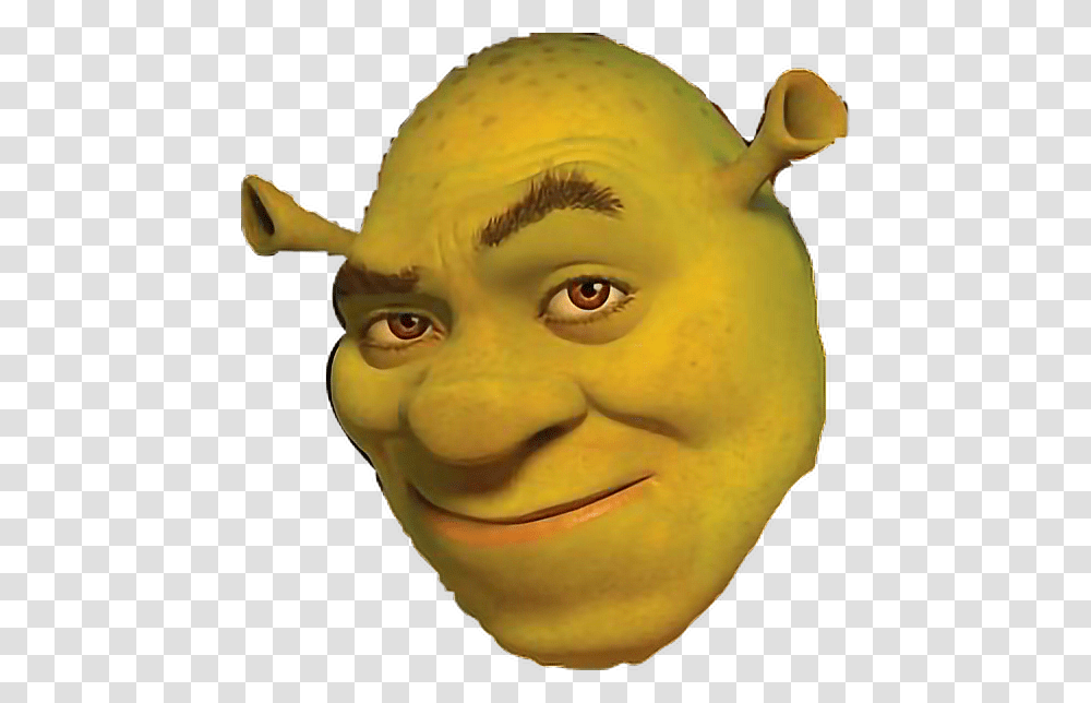 Clipart Face Shrek Shrek Face Background, Head, Figurine, Alien, Mask Transparent Png