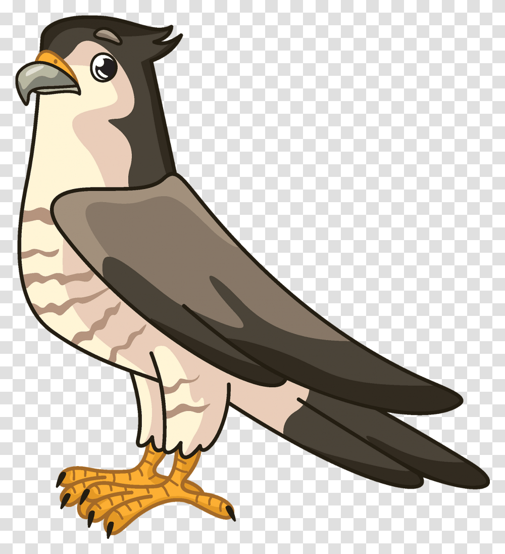 Clipart Falcon Clipart, Vulture, Bird, Animal, Hawk Transparent Png