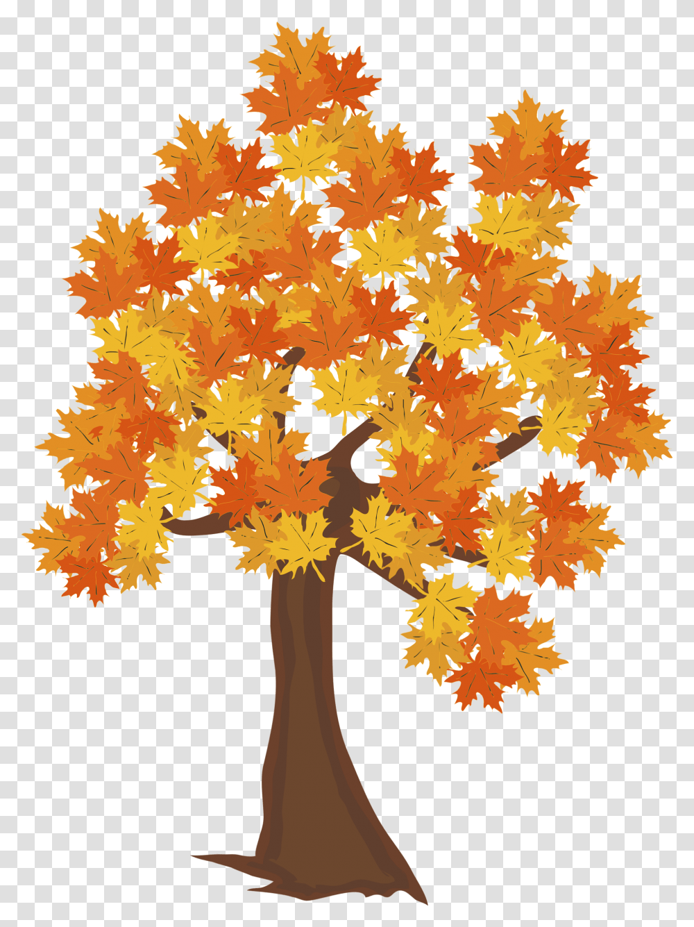 Clipart Fall Tree Autumn Tree Drawing, Leaf, Plant, Maple, Maple Leaf Transparent Png