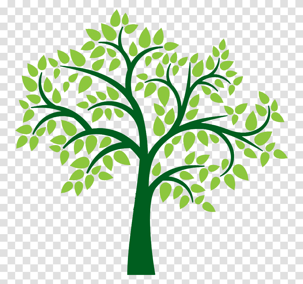 Clipart Family Tree Background, Plant, Green, Oak, Leaf Transparent Png