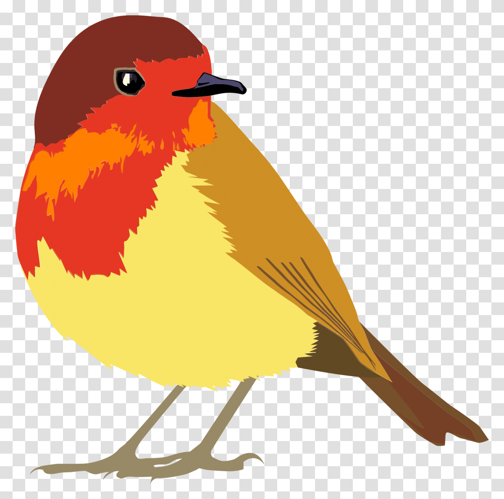 Clipart, Finch, Bird, Animal, Jay Transparent Png