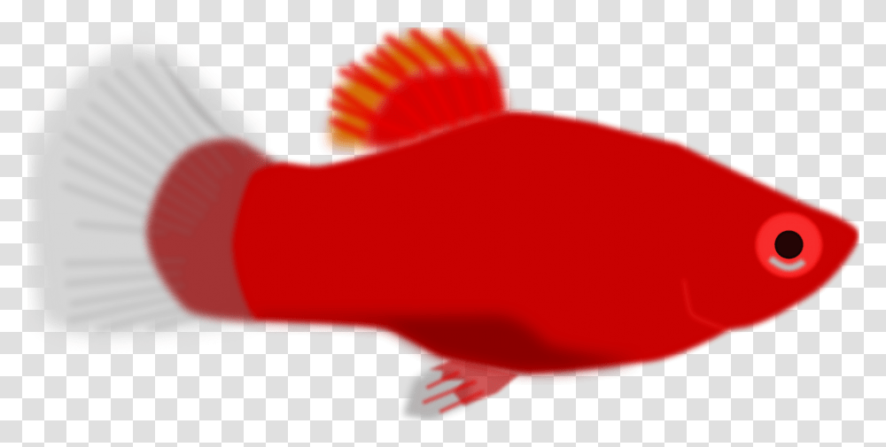 Clipart Fish Animation Red Fish Clip Art, Animal, Goldfish Transparent Png