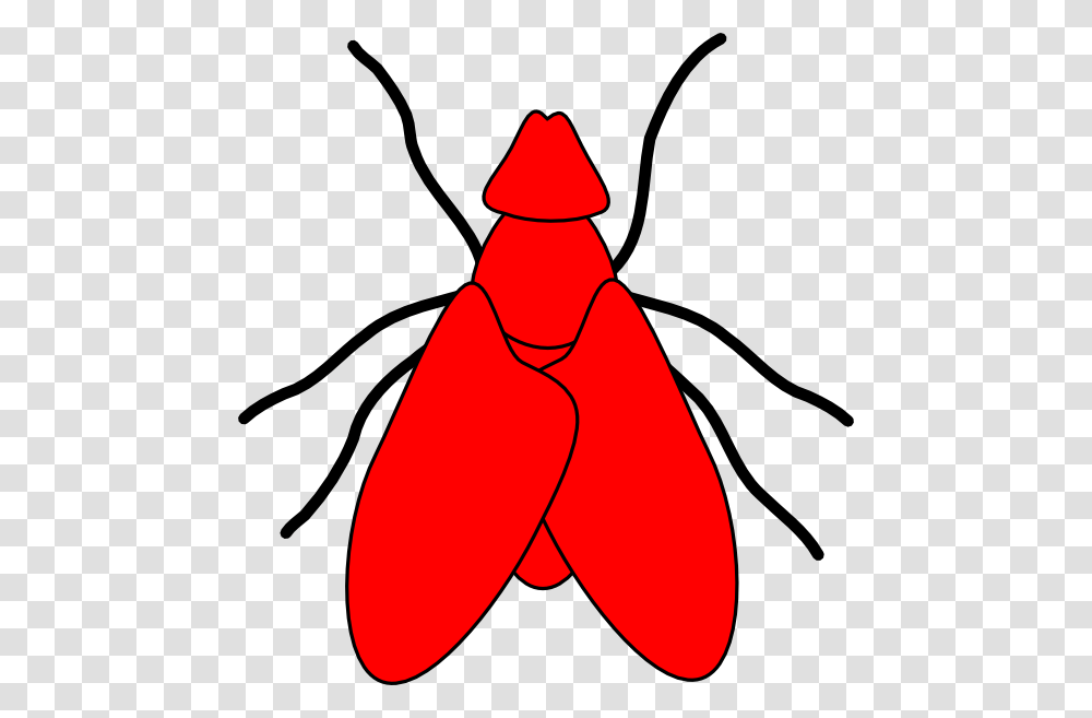 Clipart Flies, Insect, Invertebrate, Animal Transparent Png