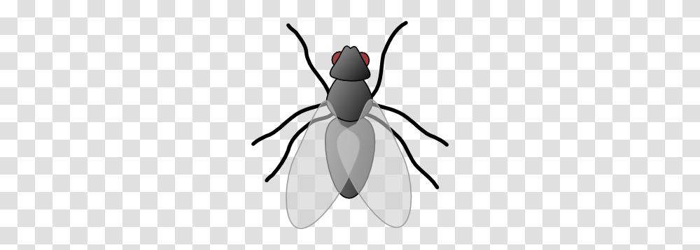 Clipart Flies, Insect, Invertebrate, Animal, Grenade Transparent Png