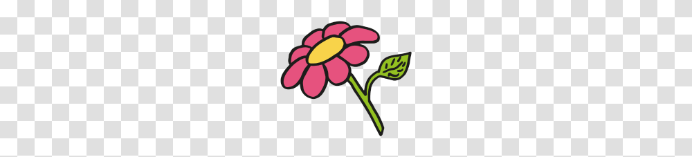 Clipart Flower, Plant, Blossom, Daisy Transparent Png