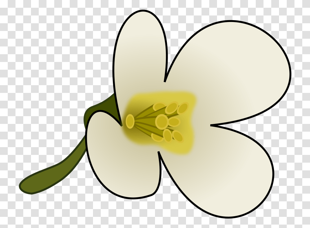 Clipart Flower With Pollen Flower Pollen Clipart, Plant, Blossom, Anther, Arenaria Transparent Png