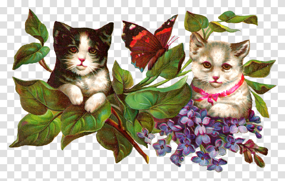 Clipart Flowers Cat Free Domestic Cat, Plant, Leaf, Pet, Mammal Transparent Png