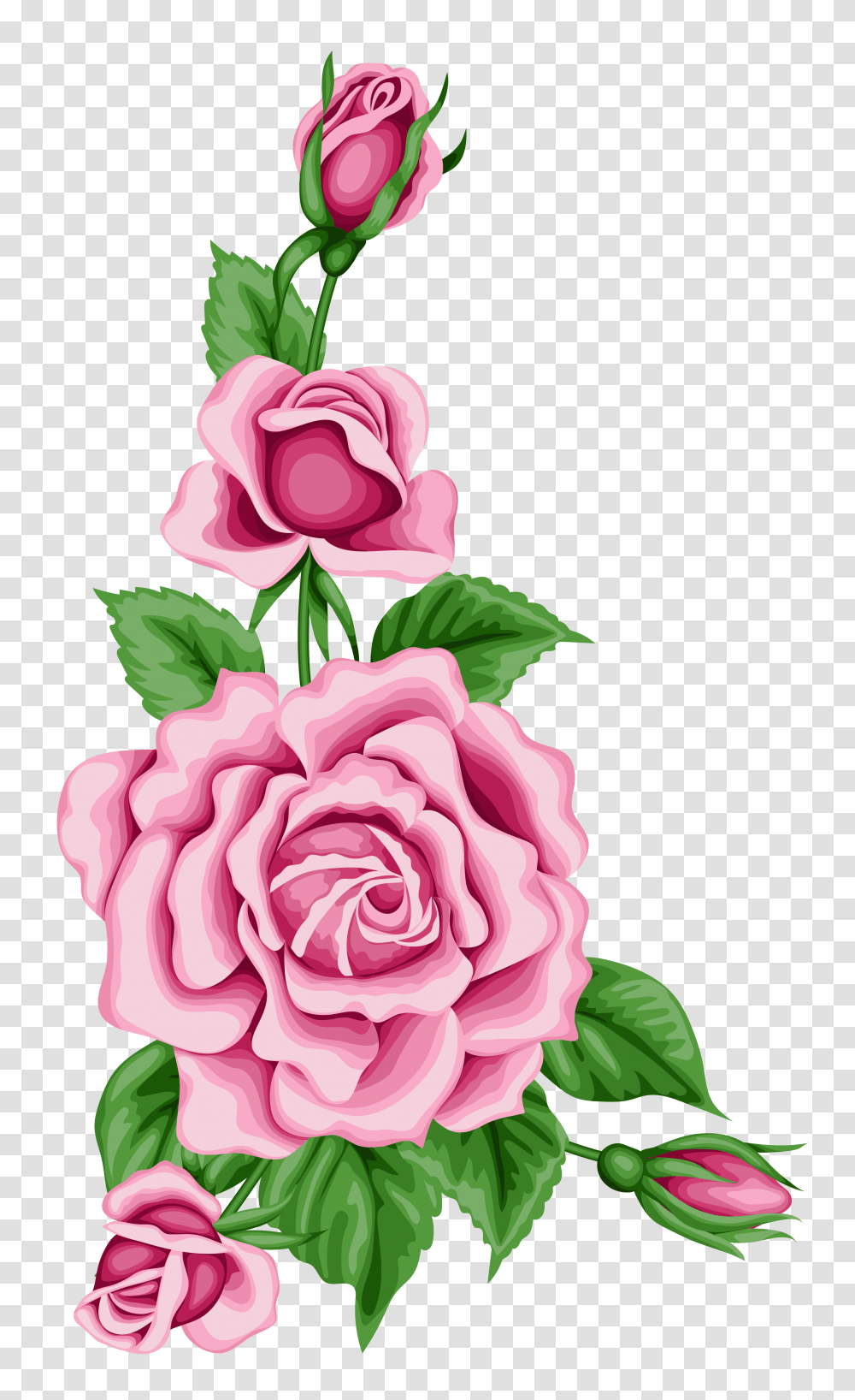 Clipart Flowers Clip, Plant, Blossom, Rose, Carnation Transparent Png