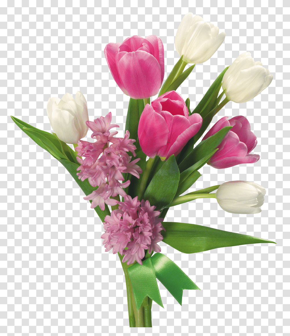 Clipart Flowers Tulips, Plant, Blossom, Flower Arrangement, Flower Bouquet Transparent Png
