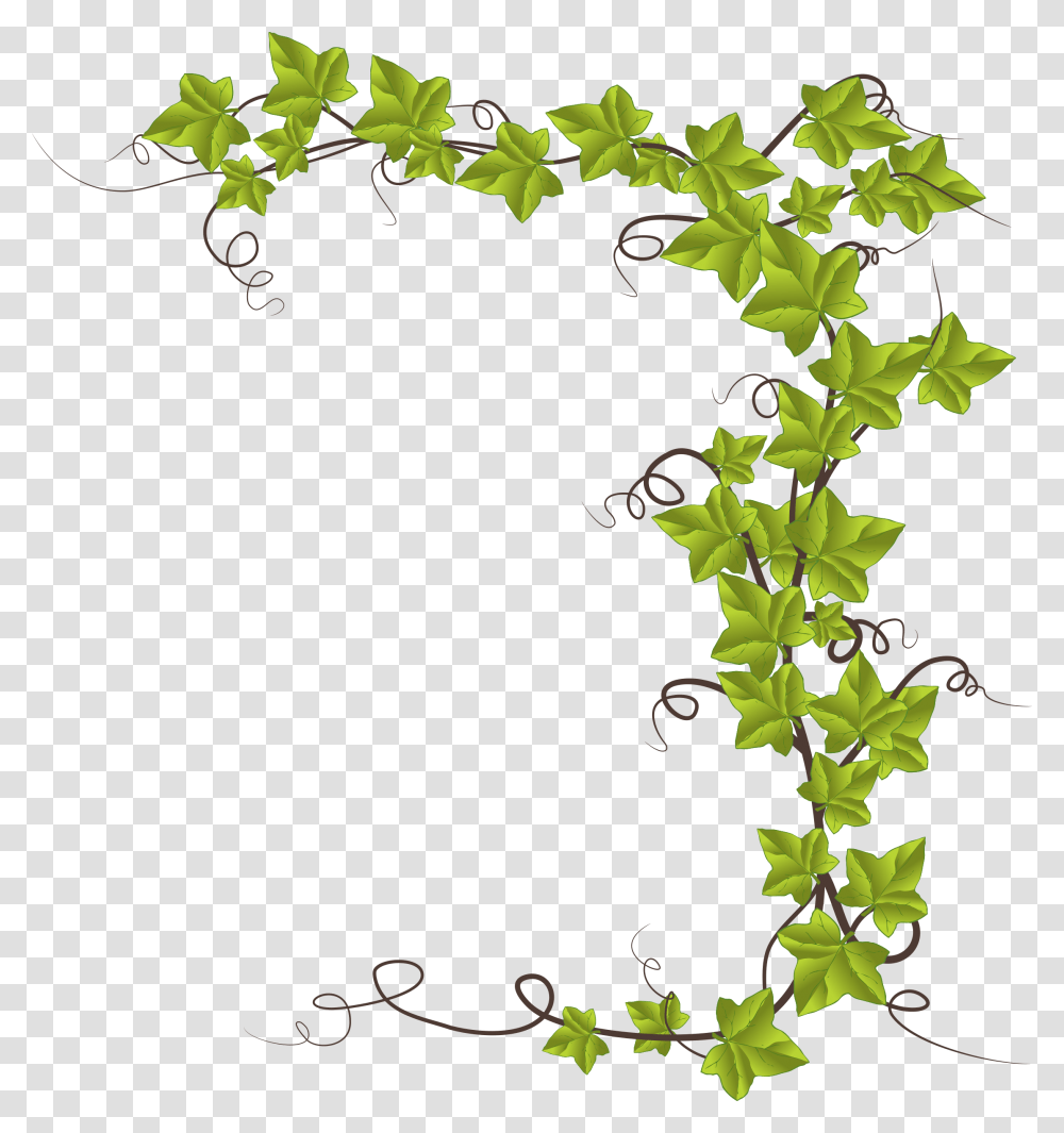 Clipart Fond Nature, Plant, Ivy, Vine, Leaf Transparent Png