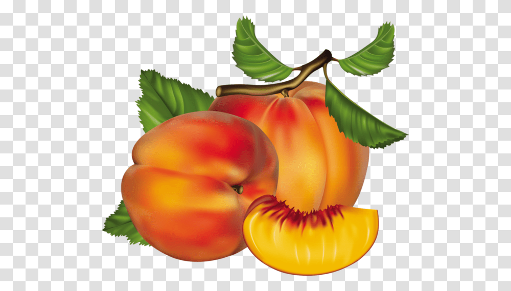 Clipart Food Peach Illustration And Fruit, Plant, Produce Transparent Png