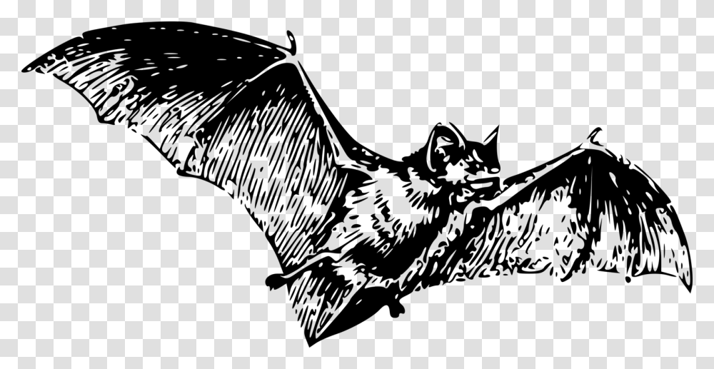 Clipart Free Bat, Gray, World Of Warcraft Transparent Png