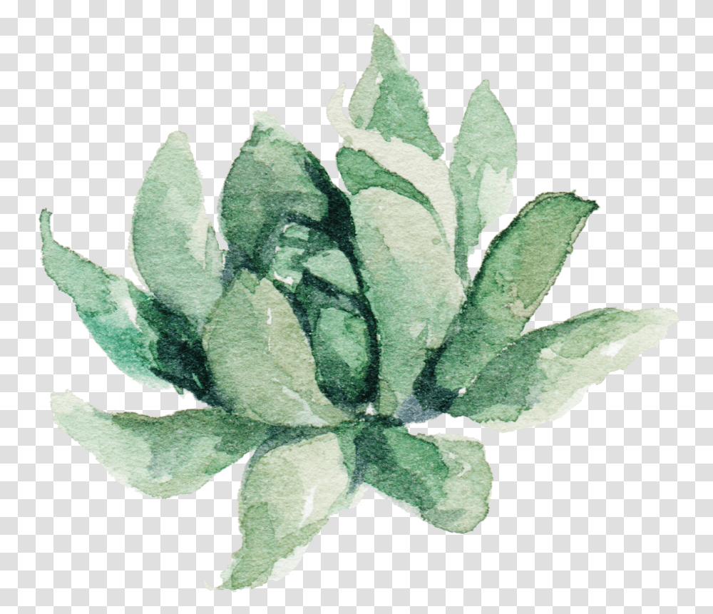 Clipart Free Succulent Watercolor Aztec Fabric Watercolor Plant, Leaf, Flower, Blossom, Painting Transparent Png