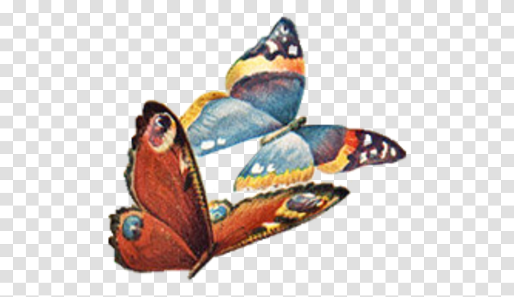 Clipart Free Vintage Butterfly, Animal, Aquatic, Water, Outdoors Transparent Png