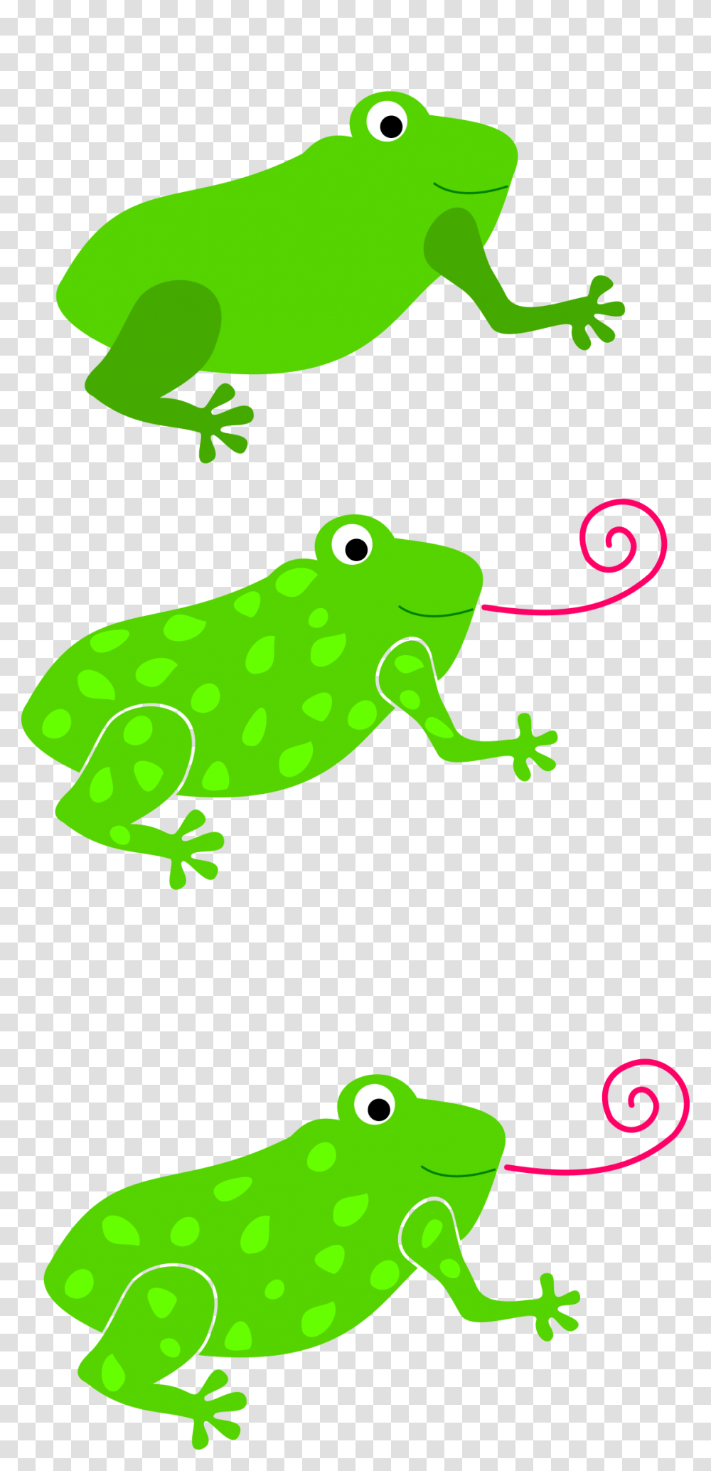 Clipart, Frog, Amphibian, Wildlife, Animal Transparent Png