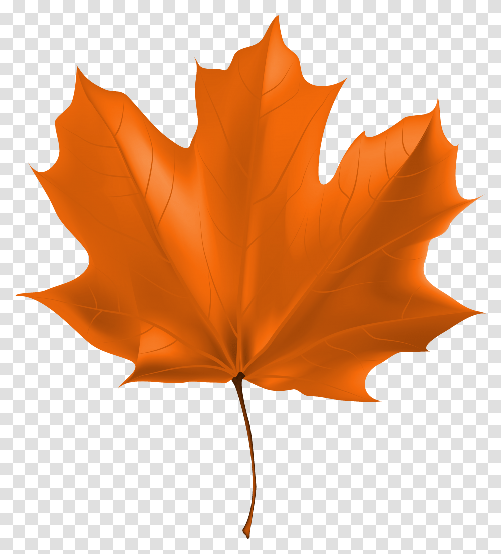 Clipart Gallery Autum Leaves Clip Art Fall Leaves, Leaf, Plant, Tree, Maple Transparent Png