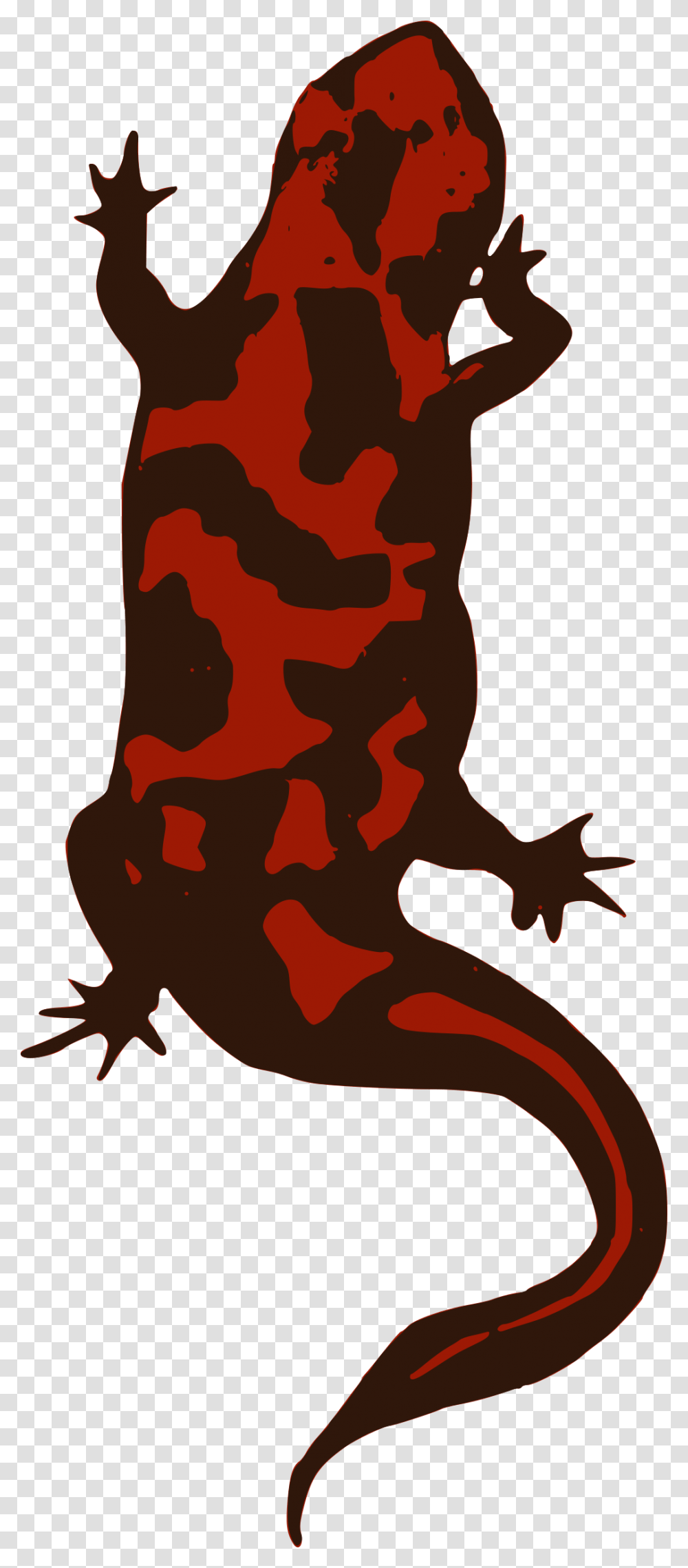 Clipart, Gecko, Lizard, Reptile, Animal Transparent Png