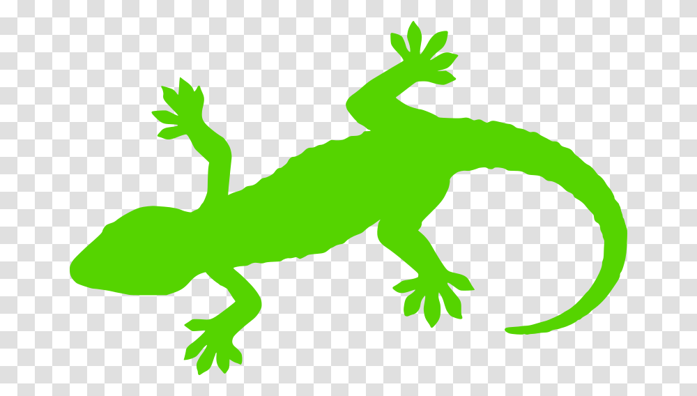 Clipart, Gecko, Lizard, Reptile, Animal Transparent Png